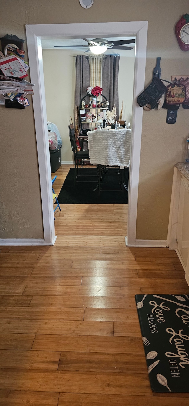 walk in closet with wood-type flooring