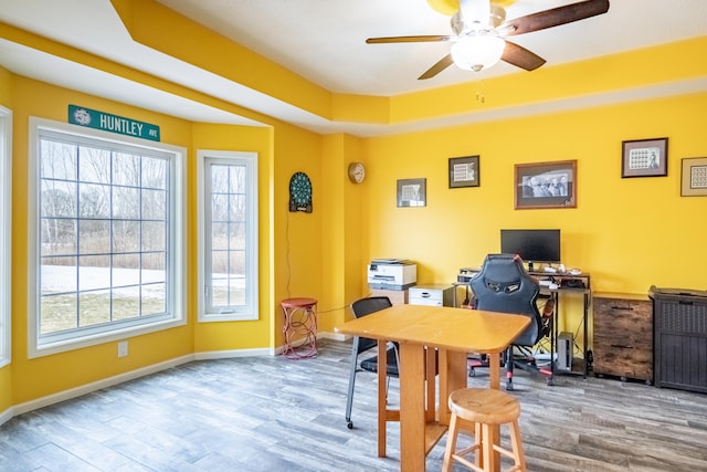 office area with hardwood / wood-style flooring, a raised ceiling, and ceiling fan