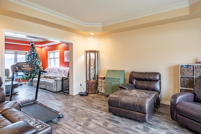 living room with hardwood / wood-style flooring, ornamental molding, and a tray ceiling