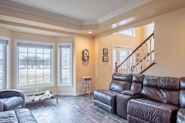 living room featuring ornamental molding and wood-type flooring