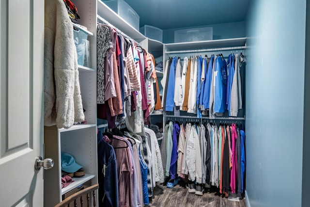 spacious closet with wood-type flooring