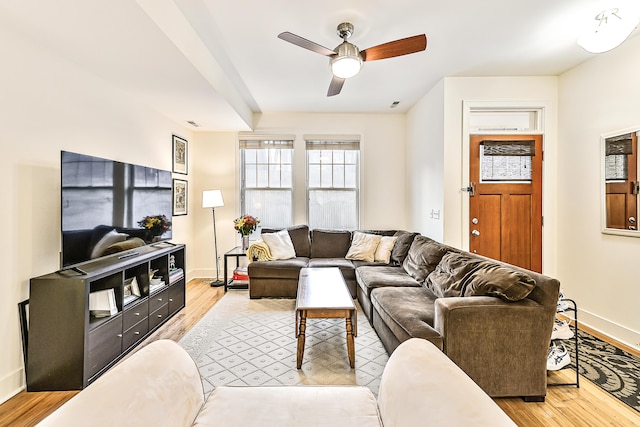 living room with ceiling fan and light hardwood / wood-style flooring