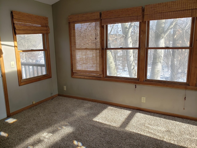 carpeted empty room with a wealth of natural light