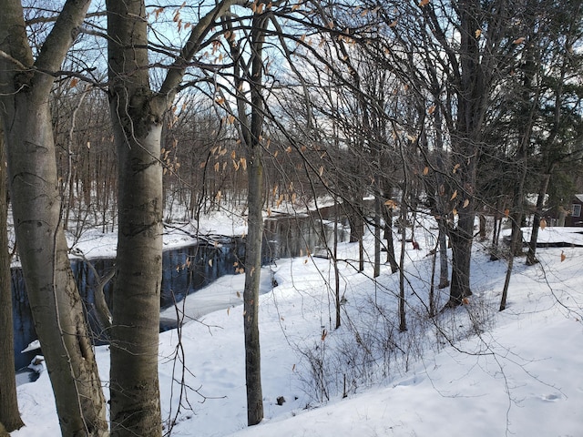 view of yard covered in snow