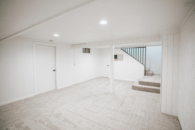 basement featuring carpet