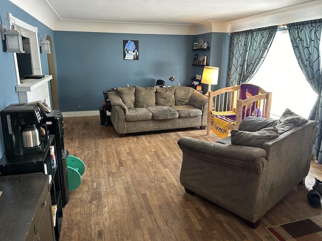 living room featuring hardwood / wood-style floors