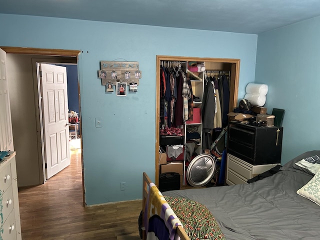 bedroom featuring wood-type flooring and a closet