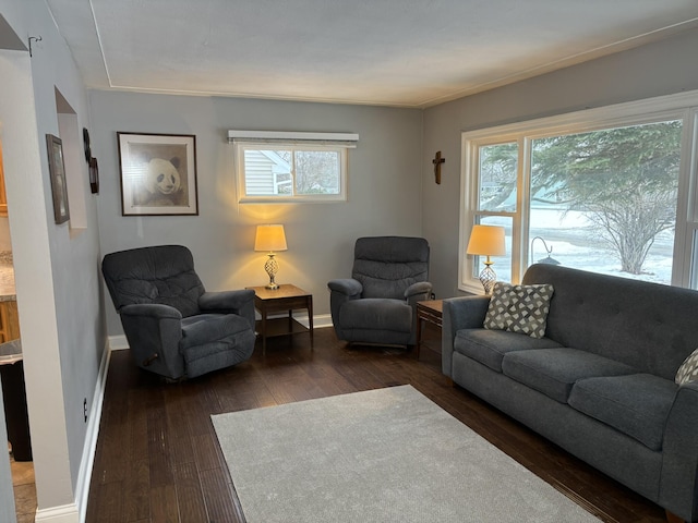 living room featuring a healthy amount of sunlight and dark hardwood / wood-style floors