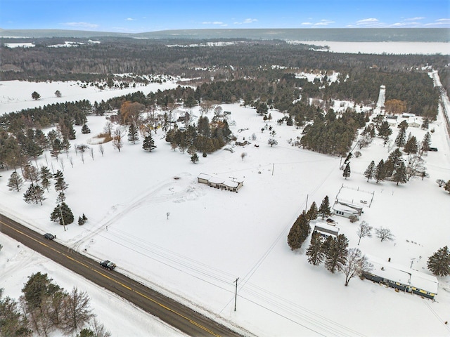 view of snowy aerial view