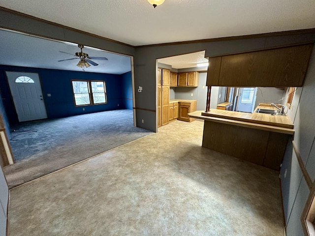 kitchen with sink, crown molding, a textured ceiling, light colored carpet, and kitchen peninsula