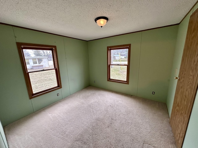 carpeted empty room with ornamental molding and a textured ceiling