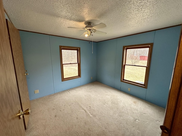 carpeted empty room featuring ceiling fan, ornamental molding, and a textured ceiling