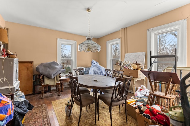 dining room featuring dark hardwood / wood-style flooring and a wealth of natural light