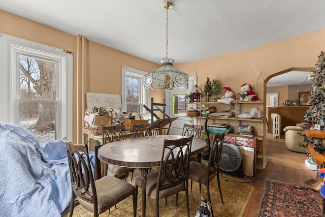 dining room featuring an inviting chandelier, radiator heating unit, and hardwood / wood-style floors