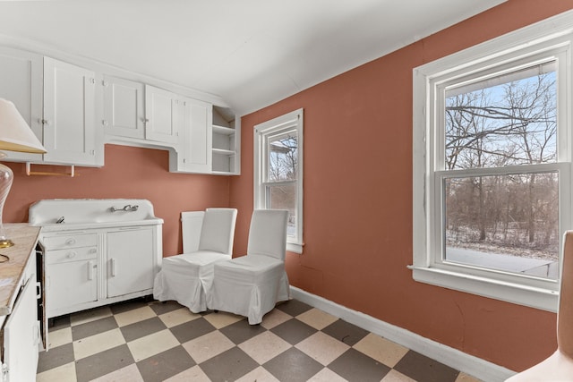 laundry room featuring a healthy amount of sunlight