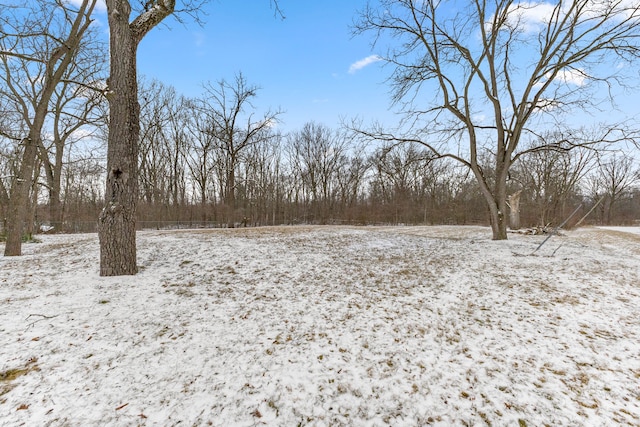 view of yard covered in snow