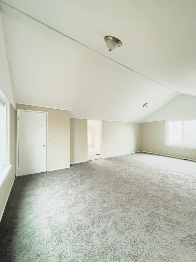 additional living space with lofted ceiling and carpet floors