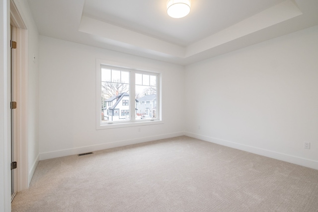 empty room featuring a raised ceiling and light colored carpet