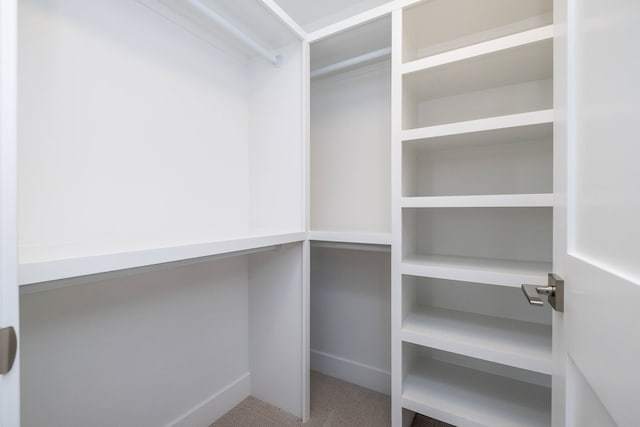 walk in closet featuring carpet floors