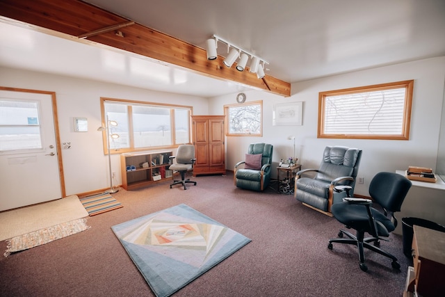 home office featuring beam ceiling, rail lighting, and carpet