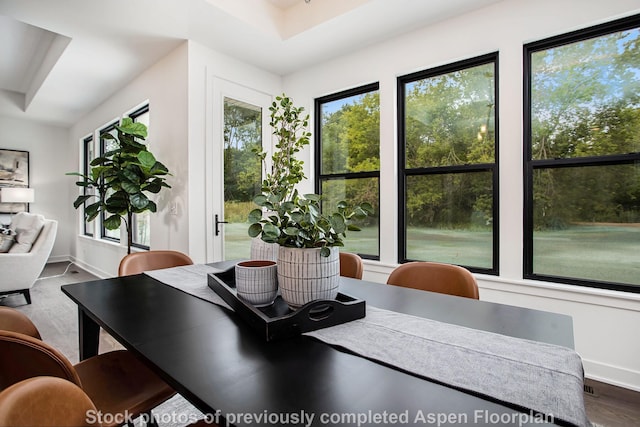 dining room featuring hardwood / wood-style flooring and plenty of natural light