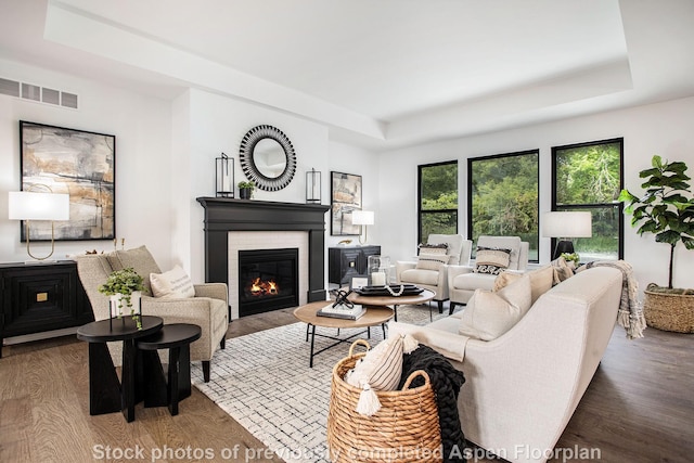 living room featuring wood-type flooring, a fireplace, and a raised ceiling