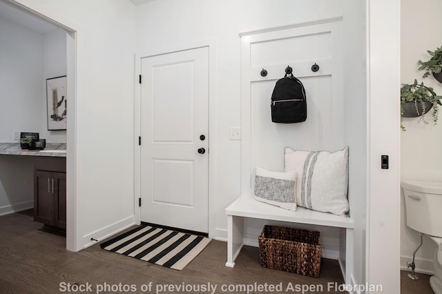 mudroom featuring dark hardwood / wood-style flooring