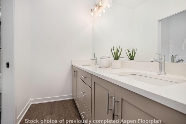 bathroom with vanity and wood-type flooring