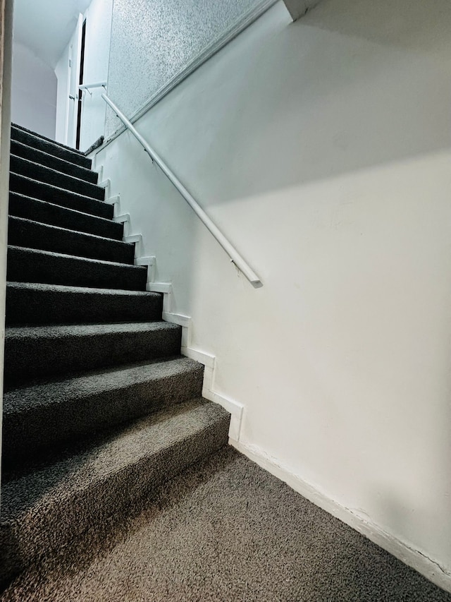 staircase featuring carpet floors