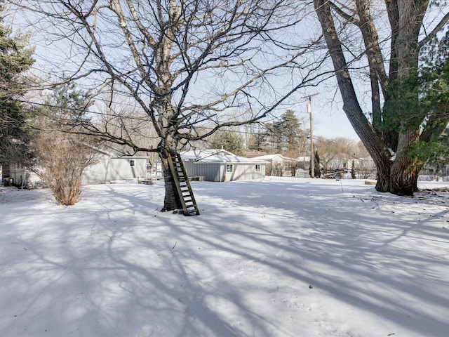 view of yard covered in snow