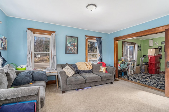 living room featuring carpet flooring