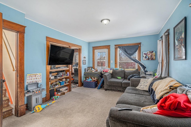 living area featuring carpet flooring and crown molding