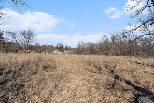 view of local wilderness with a rural view