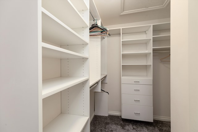 walk in closet featuring dark colored carpet