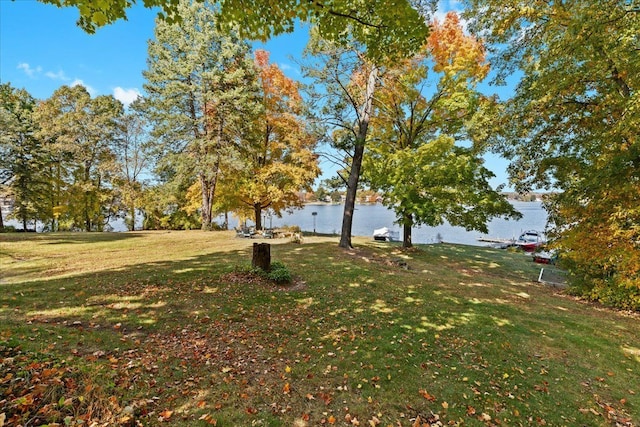 view of yard with a water view