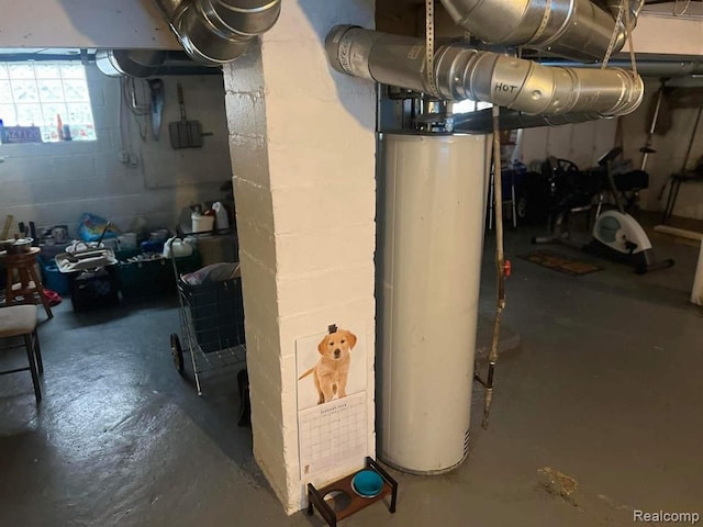 basement with gas water heater