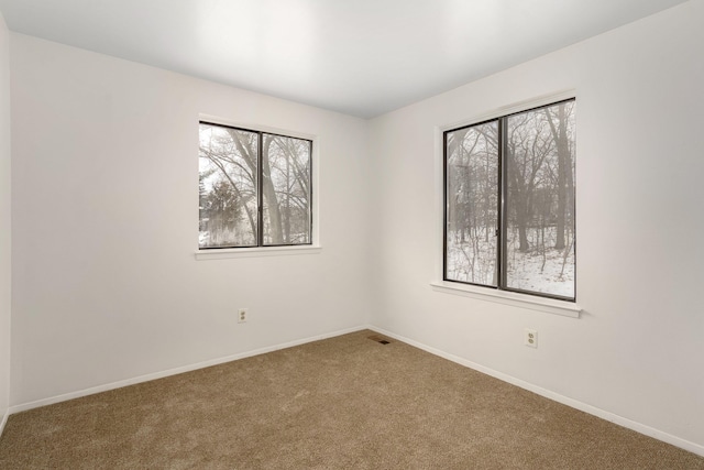 spare room featuring a wealth of natural light and carpet