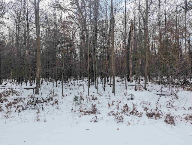 N/A Georgia Edna Lane, Prescott MI, 48756 land for sale