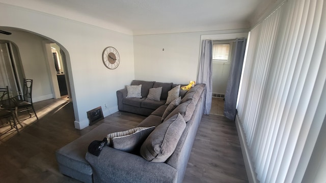 living room with dark hardwood / wood-style flooring