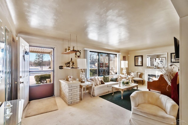 carpeted living room with a wealth of natural light