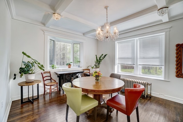 dining space with beamed ceiling, a wealth of natural light, radiator heating unit, and dark hardwood / wood-style flooring