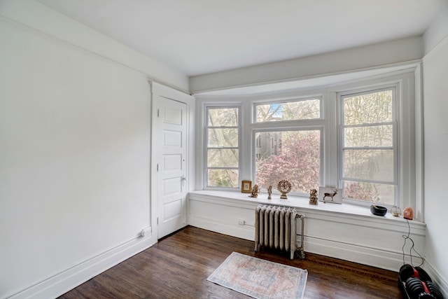 interior space featuring dark hardwood / wood-style flooring and radiator