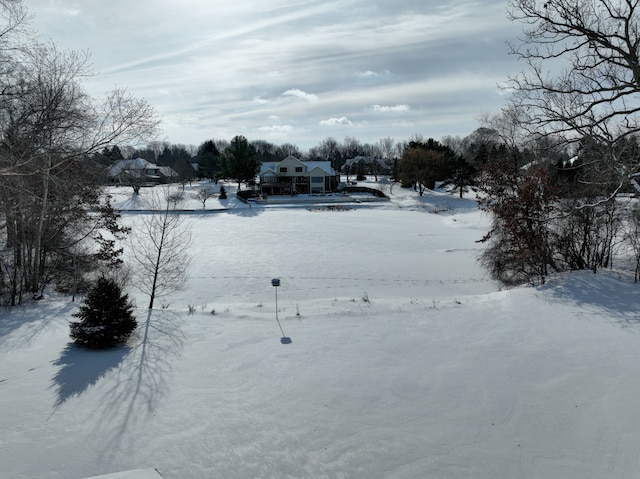 view of yard layered in snow