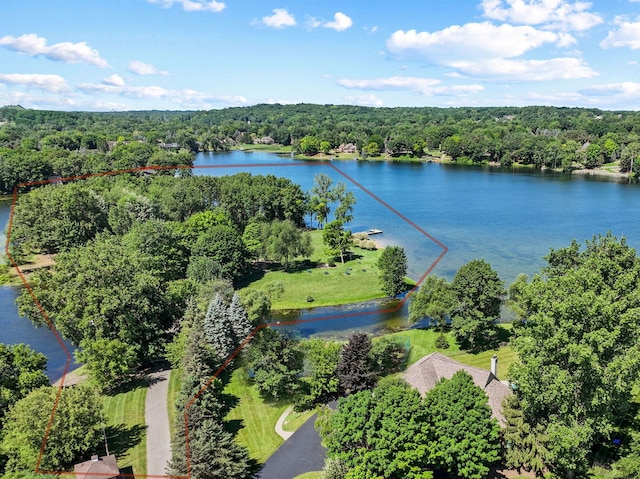 bird's eye view featuring a water view and a view of trees