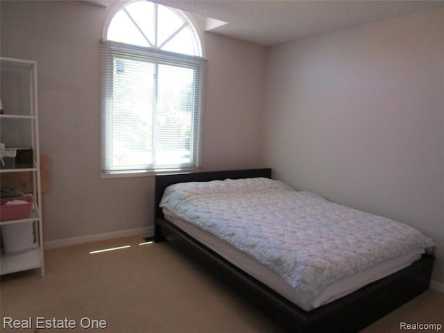 bedroom with carpet floors