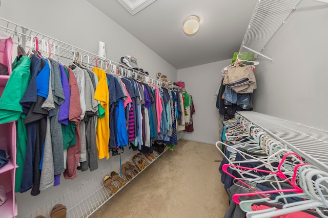 walk in closet featuring carpet