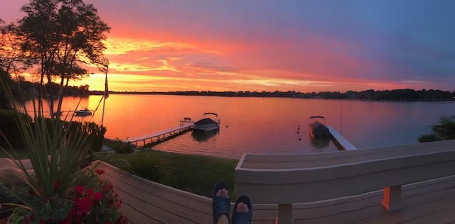 dock area with a water view