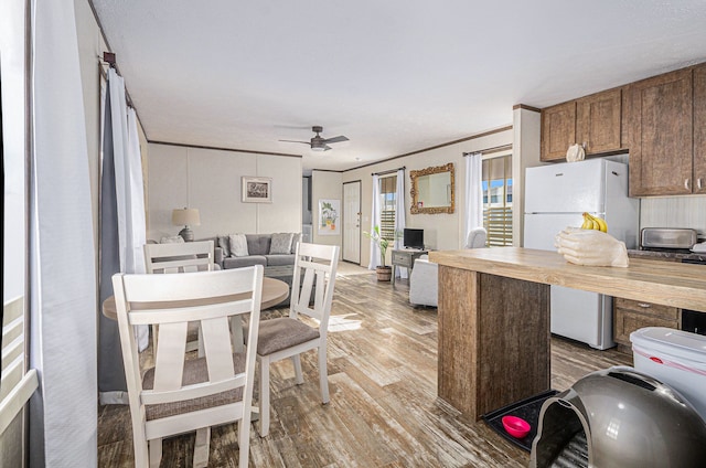 kitchen with butcher block countertops, ceiling fan, white fridge, ornamental molding, and light wood-type flooring