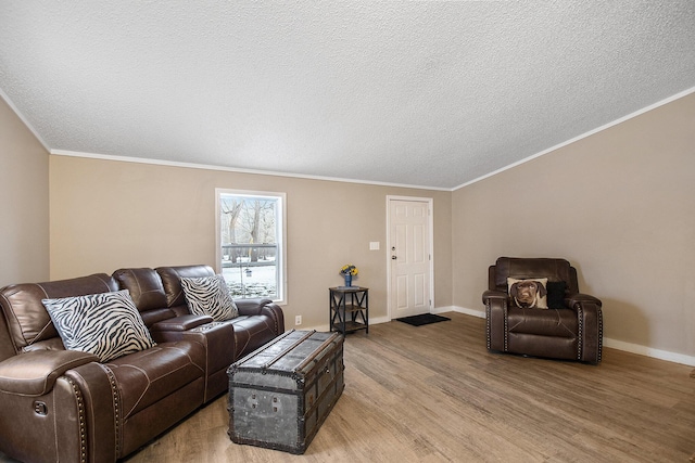 living room with ornamental molding, a textured ceiling, and light wood-type flooring