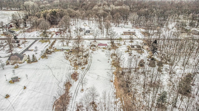 view of snowy aerial view